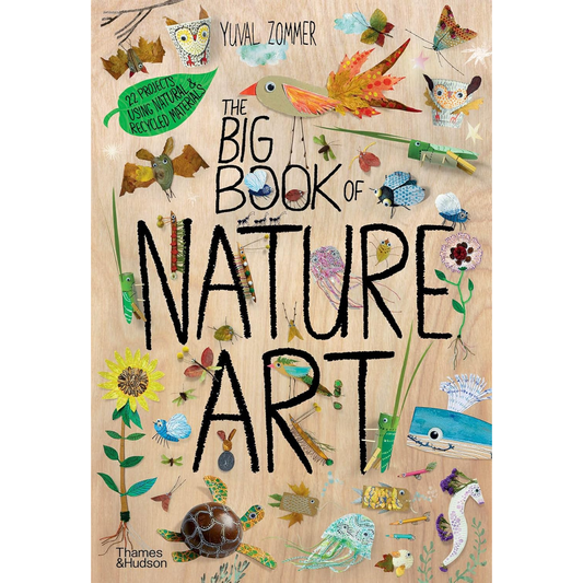 The Big Book of Nature Art by Yuval Zommer