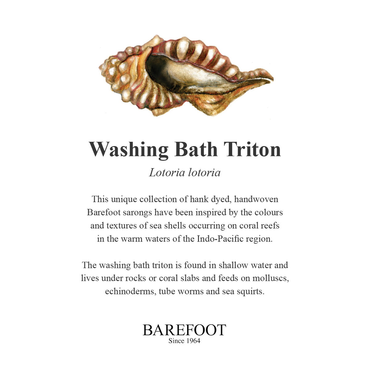 Designer Sarong: Washing bath Triton