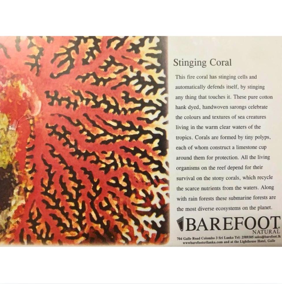 Designer Sarong: Stinging Coral