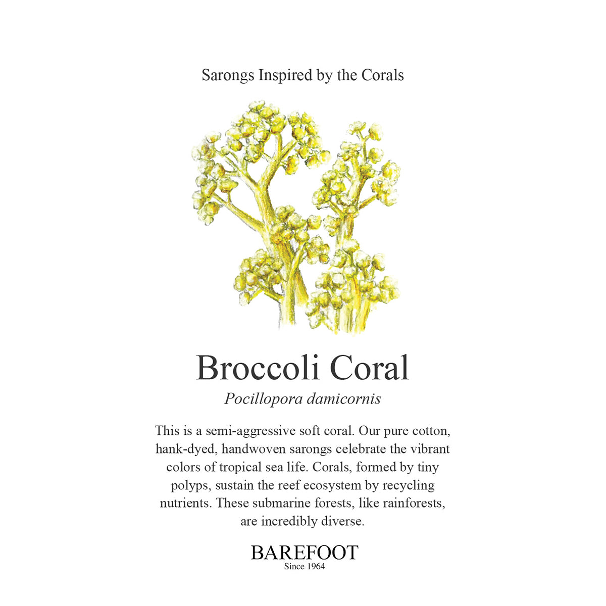 Designer Sarong: Broccoli Coral