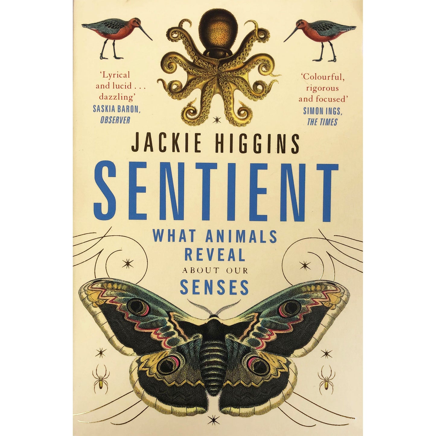 Sentient by Jackie Higgins