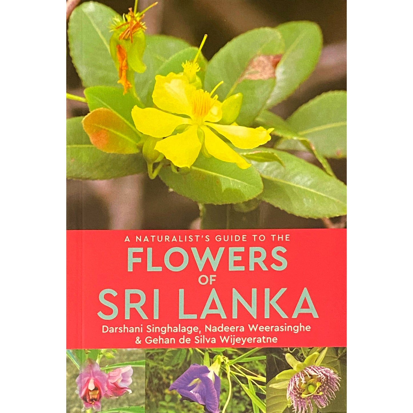 A Naturalist’s Guide to the Flowers of Sri Lanka by Darshani Sinhalage, Nadeera Weerasinghe & Gehan de Silva Wijeratne