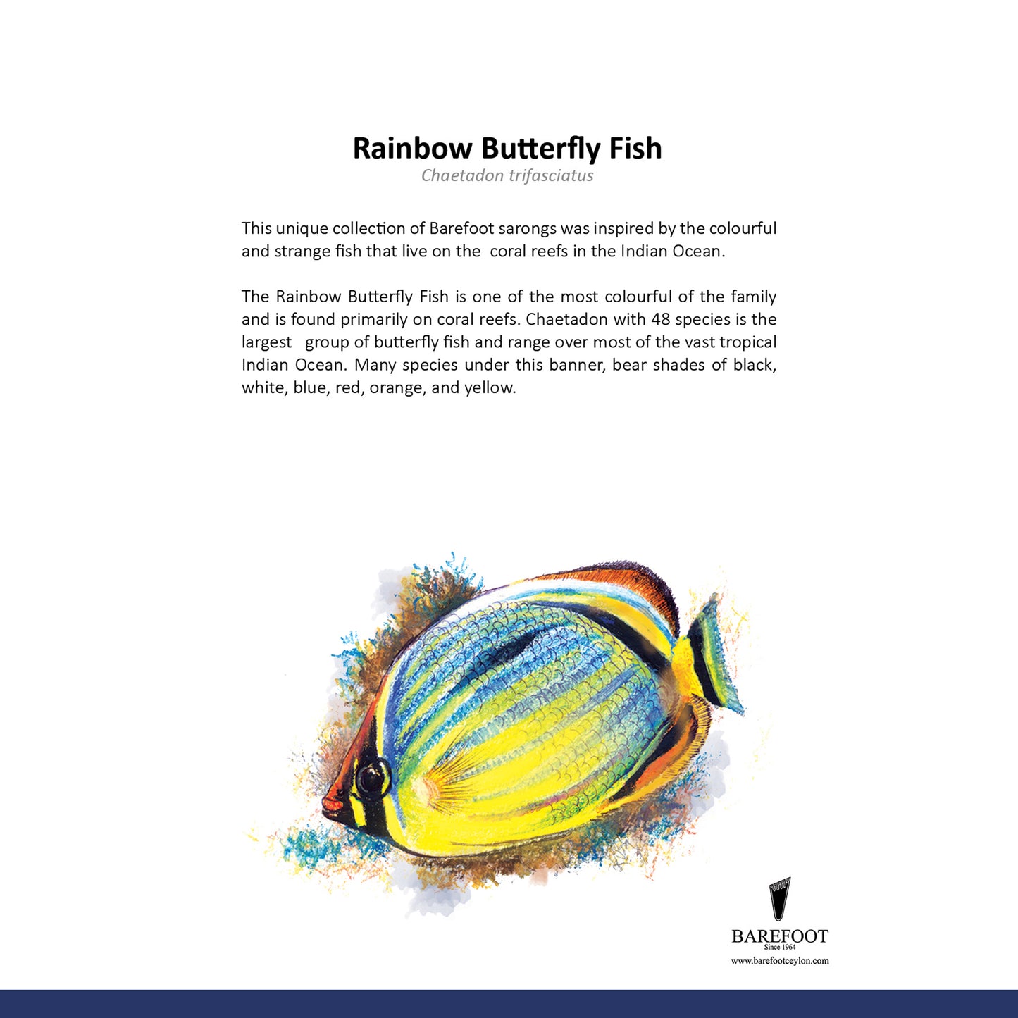 Designer Sarong: Rainbow Butterfly Fish