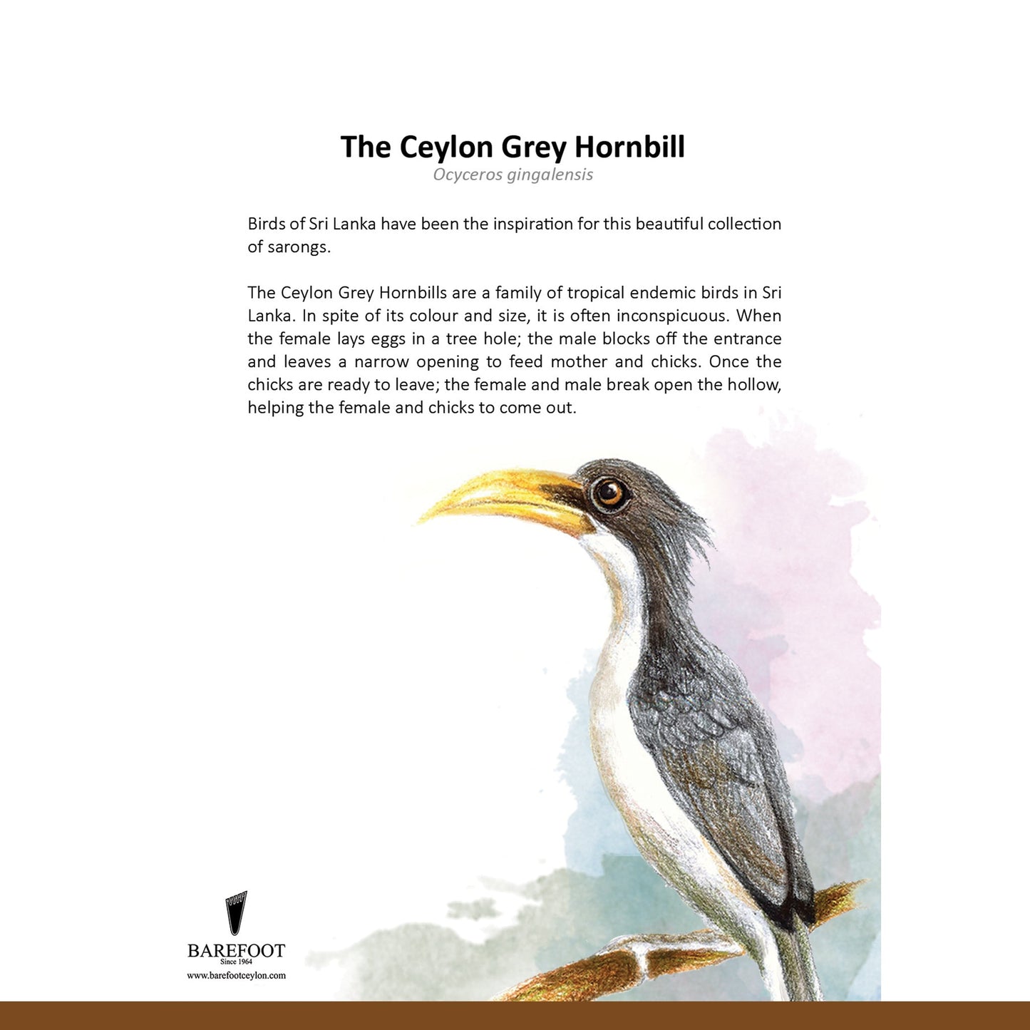 Designer Sarong.  Ceylon Grey Hornbill. The Birds of Sri Lanka.