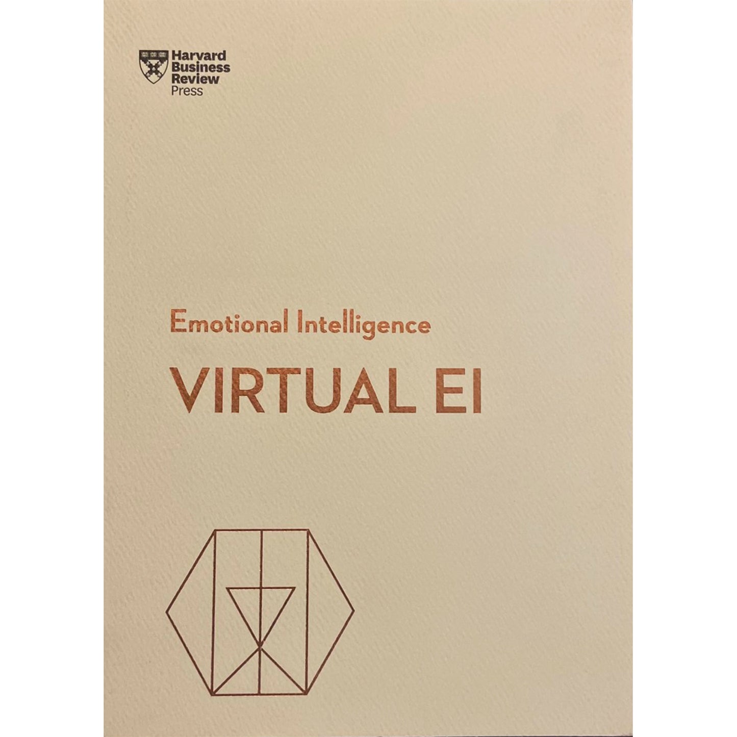 Virtual EI (HBR Emotional Intelligence Series)