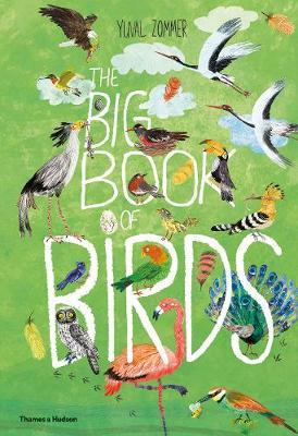 The Big Book of Birds by Yuval Zommer