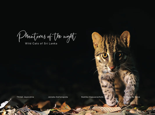 Phantoms of the Night: Wild Cats of Sri Lanka by Thilak Jayaratne, Janaka Gallangoda, Nadika Hapuarachchi, Madura De Silva