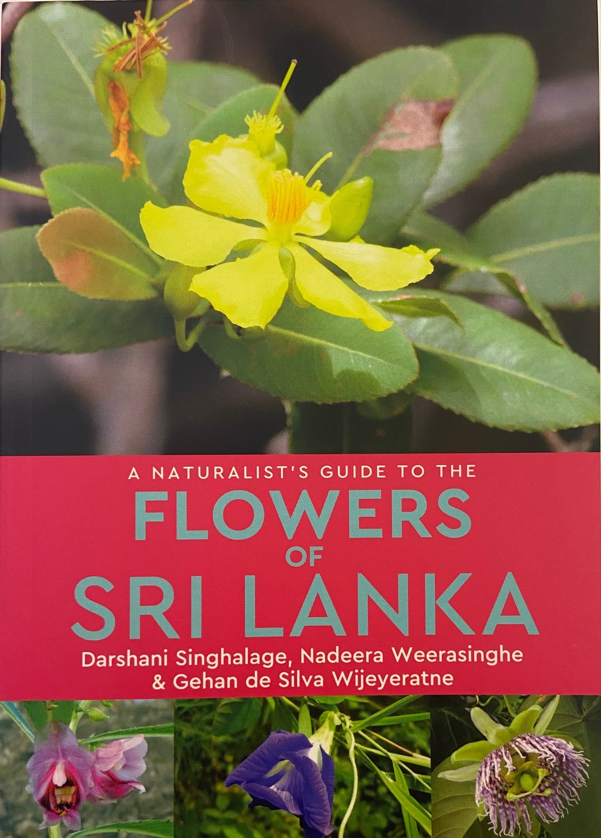A Naturalist’s Guide to the Flowers of Sri Lanka by Darshani Sinhalage, Nadeera Weerasinghe & Gehan de Silva Wijeratne