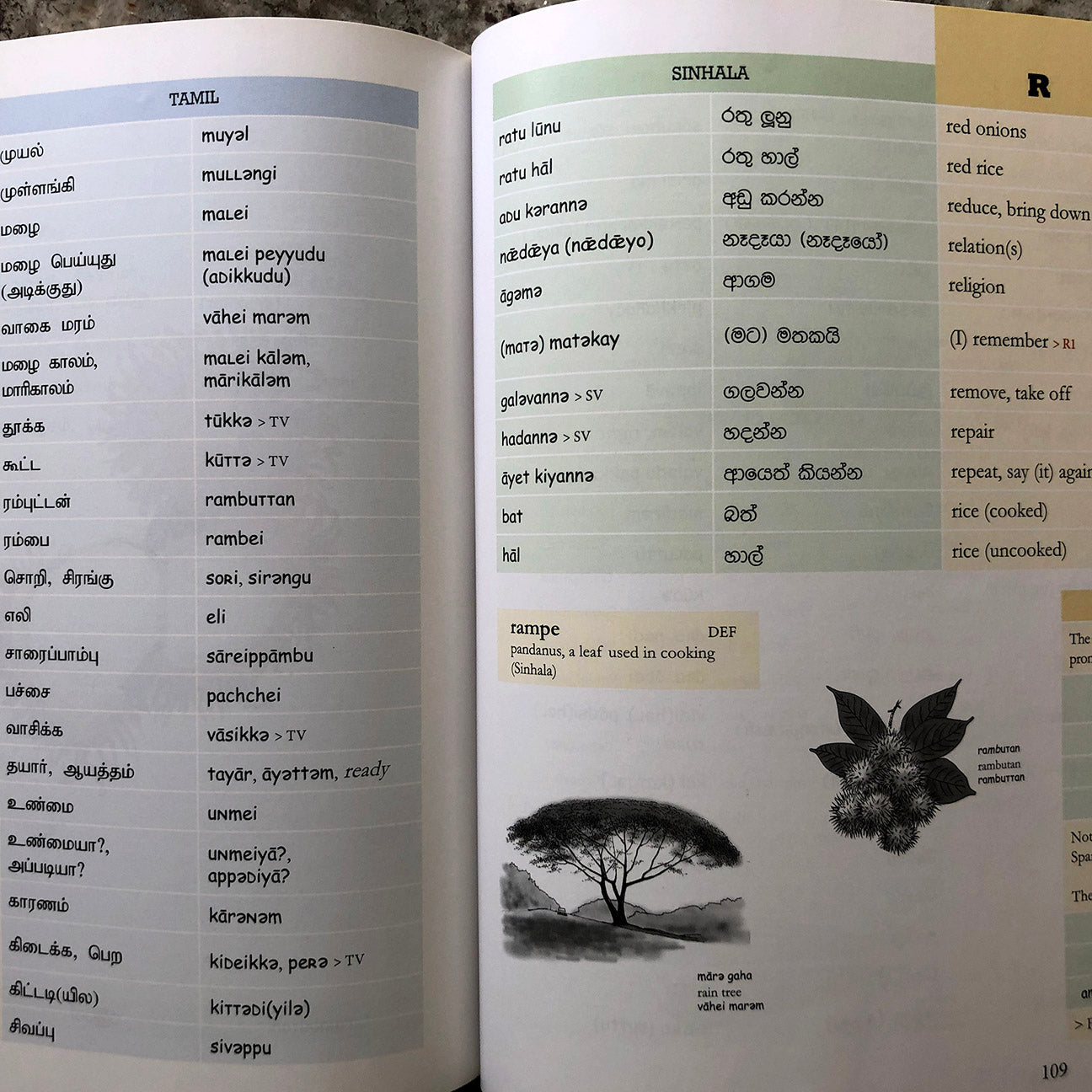 Set: A Trilingual Dictionary of Colloquial Sinhala English and Tamil. by Michael Meyler