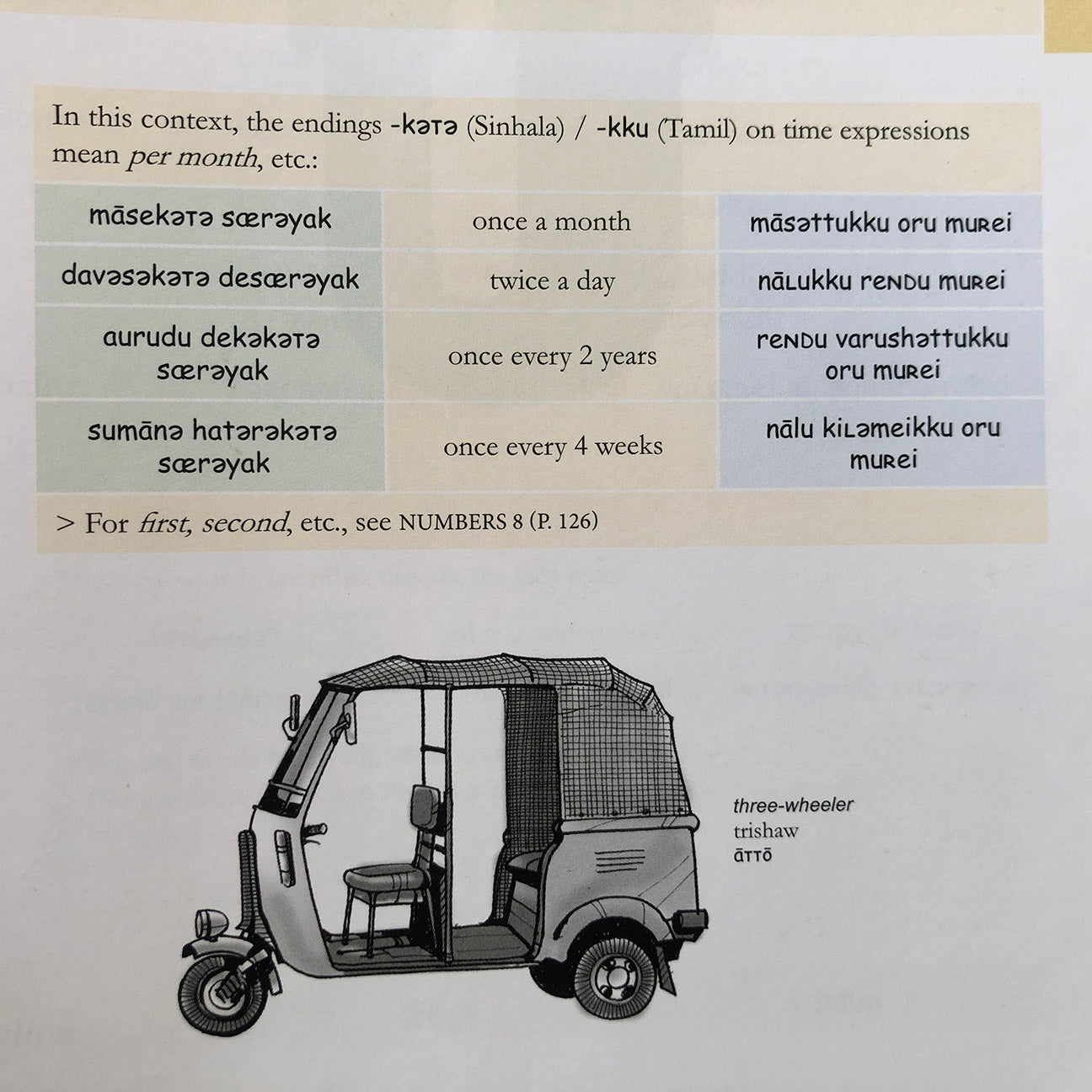 Set: A Trilingual Dictionary of Colloquial Sinhala English and Tamil. by Michael Meyler