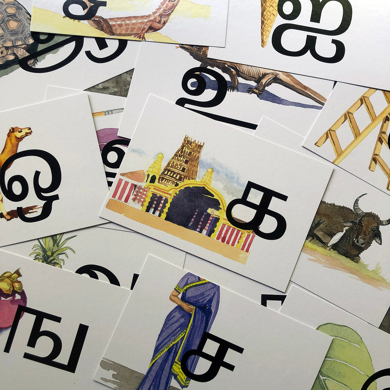 Tamil Alphabet Card Pack. Illustrated by Lynda Gill.