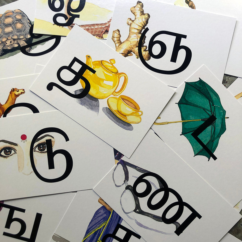 Tamil Alphabet Card Pack. Illustrated by Lynda Gill.