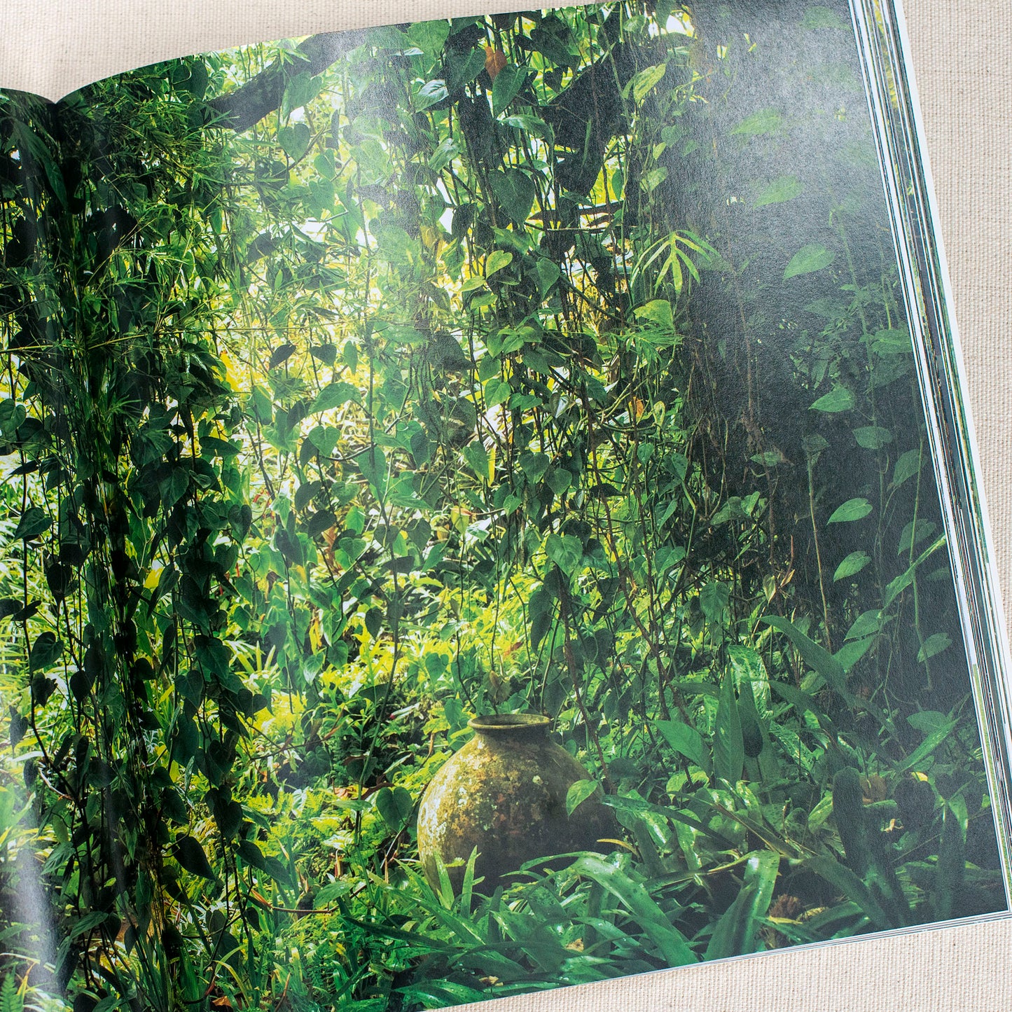 Bawa: The Sri Lanka Gardens. Text by David Robson, Photography by Dominic Sansoni
