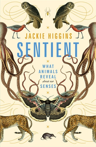 Sentient by Jackie Higgins